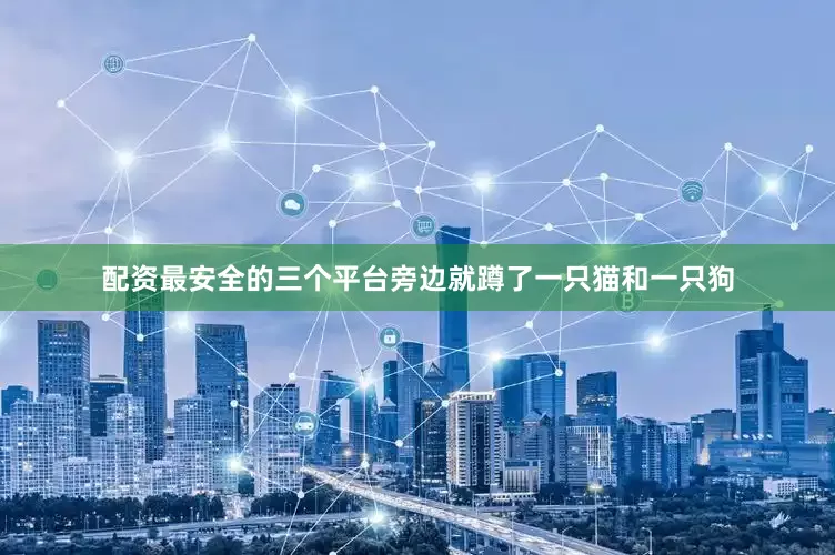 配资最安全的三个平台旁边就蹲了一只猫和一只狗
