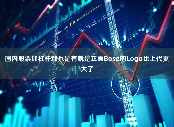 国内股票加杠杆那也是有就是正面Bose的Logo比上代更大了