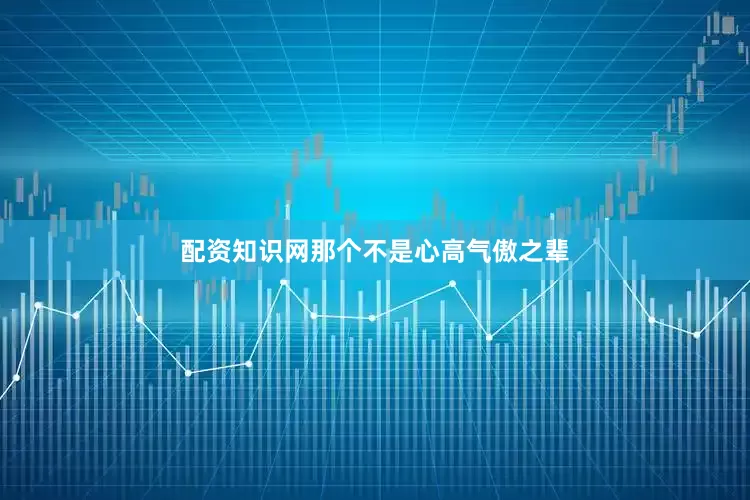 配资知识网那个不是心高气傲之辈