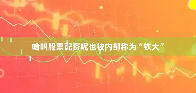 啥叫股票配资呢也被内部称为“铁大”